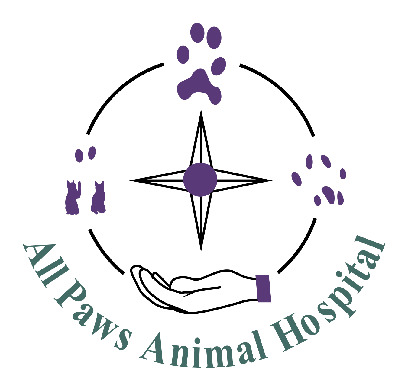 Home | All Paws Animal Hospital
