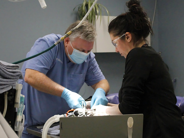 Dental-Care-and-Cleaning Dental-Care-and-Cleaning