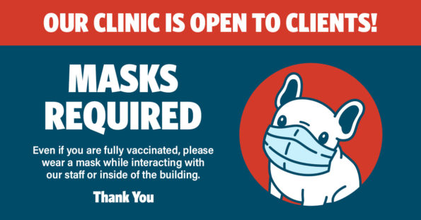 Masks-required-logo-595x311