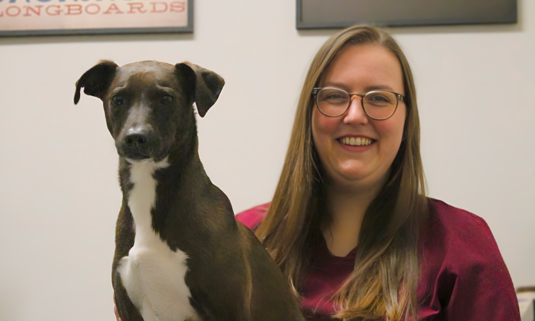 Adult Wellness & Preventative Care for Pets All Paws Animal Hospital